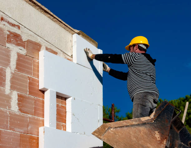 Garage Insulation Installation in Roma, TX