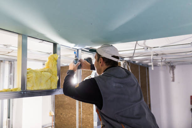 Insulation Contractors for Homes in Roma, TX