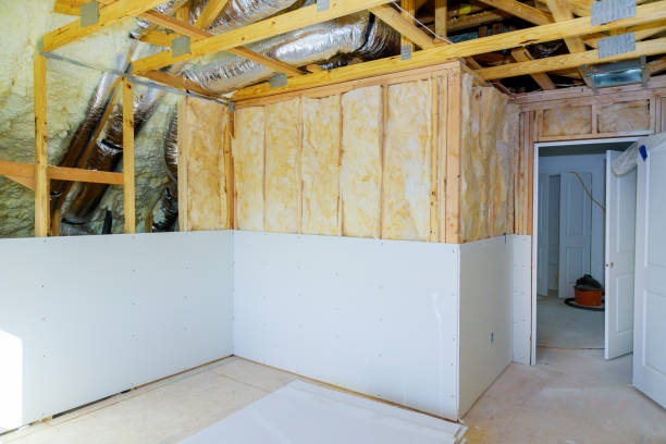 Best Insulation Replacement Services  in Roma, TX