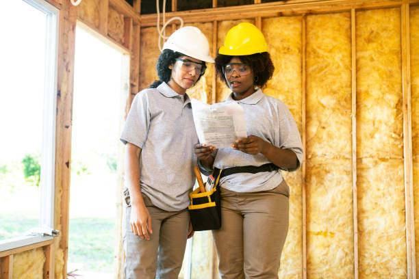 Best Wall Insulation Contractor  in Roma, TX