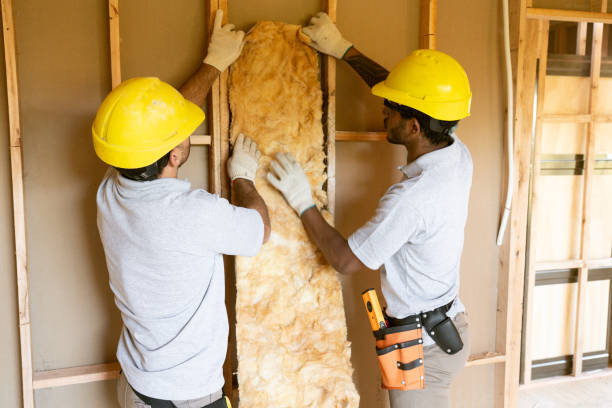 Range of Insulation Solutions in Roma, TX